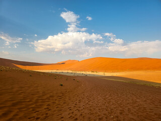 Panoramic view on the Dead Vlei at Namib Naukluft national park, Namibia, sunrise shot