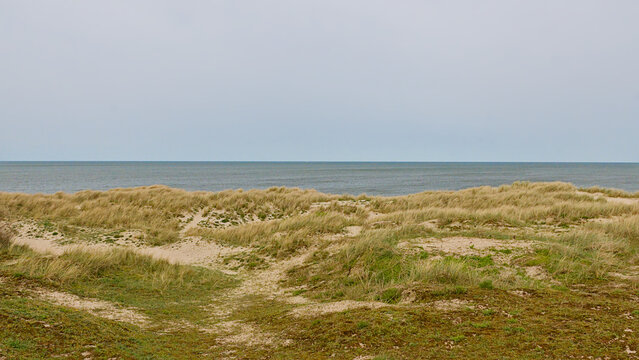 Dune landscape along the north sea coast in Ostend, Flanders, Belgium 