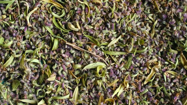 Fragrant dried wild thyme slowly rotating as culinary and medicinal aromatic herb background, showcasing small purple flowers, green leaves used for seasoning, herbal tea. Dried thyme herb rotating
