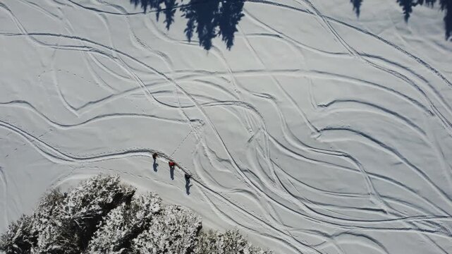 Rotating vertical aerial view above three alpine skiers ascending a fresh powder snow slope next to a snow-covered forest. Winding tracks appear on the sunlit, exposed slope.