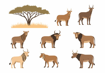 Obraz premium African Wildlife Animals Standing Together.