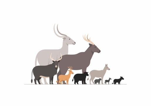 Group of Various Farm Animals Standing Together.