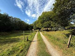 Obraz premium A winding dirt path threads through the lush St Ives countryside, bordered by deep green trees under warm sunlight. Above, soft white clouds drift across a bright Yorkshire sky near Bingley, UK