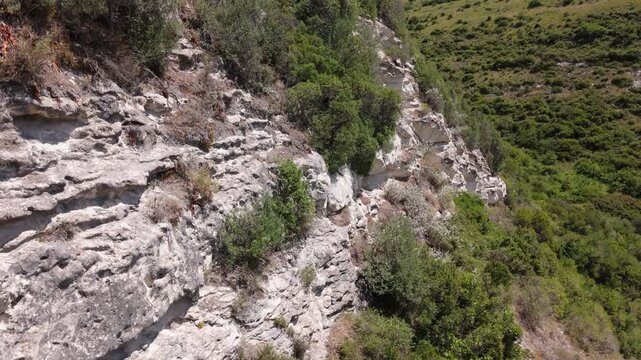 vegetated cliff in Sardinia