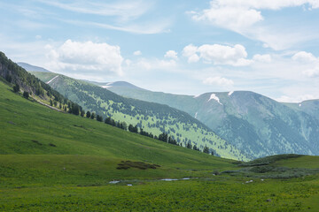 Vivid scenery with green flora in valley and coniferous trees on steep slope under lush clouds in blue sky. Changeable weather in high mountains. Scenic alpine view to grassy meadow and conifer forest © Daniil