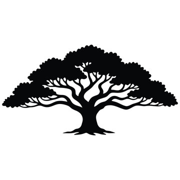 
Large Oak Tree Silhouette Vector Wide Spreading Branches Nature Illustration