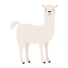Cute llama alpaca illustration isolated on transparent background. Kawaii cartoon character. Wild animal, South American wildlife. Hand drawn flat vector. Kid design element, clip art, print, wall art © Maria Skrigan