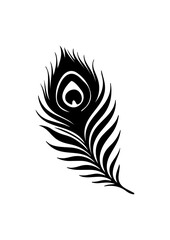Obraz premium Elegant Black Peacock Feather Silhouette