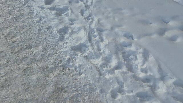 Snowy pedestrian path moving forward, sunlight sparkling on compacted granular snow, visible boot and tire tracks, low angle.
