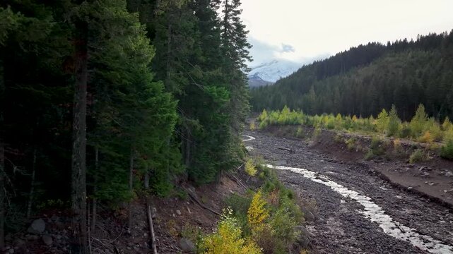 Aerial drone clip over and evergreen forest and river in the American West.
