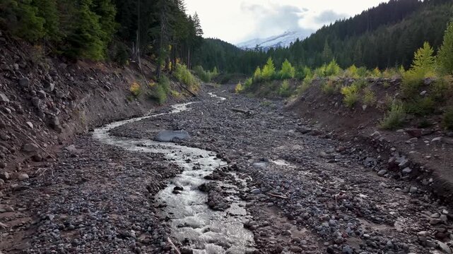 Aerial drone clip over and evergreen forest and river in the American West.
