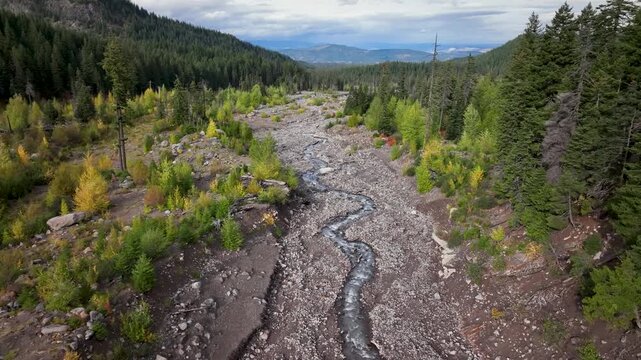 Aerial drone clip over and evergreen forest and river in the American West.