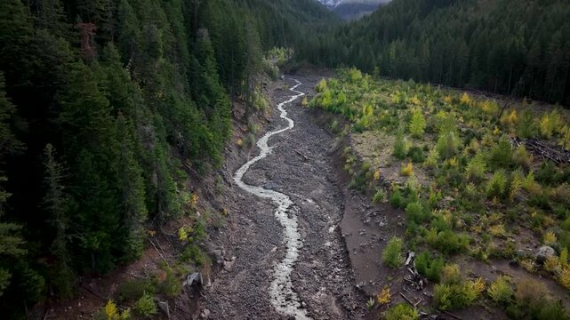 Aerial drone clip over and evergreen forest and river in the American West.