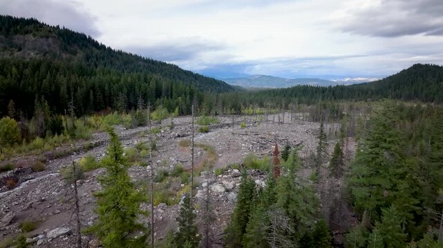 Aerial drone clip over and evergreen forest and river in the American West.