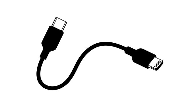 USB C to USB C cable.