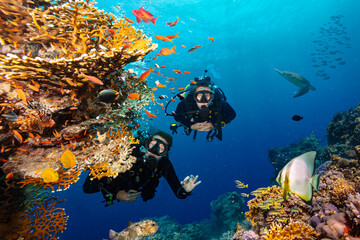 Scuba Diver Swimming in Deep Sea with Sunrays and Beautiful Coral Reef with Colorful Fishes