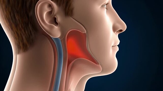 Human head cross section with red glow in throat medical pain