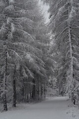 Kraina Lodu © Tomasz