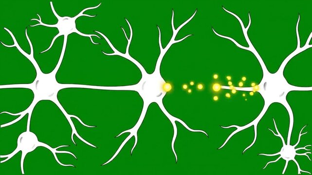 Neuron Network Synapse Transmission Electric Signal