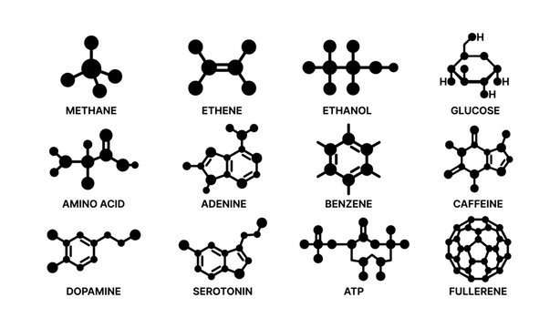 Chemical structures of twelve essential organic molecules