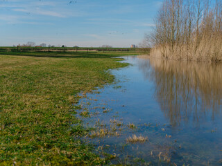 Fototapeta premium Flooded green meadow in Dutch river floodplain with water encroaching on grassland in early spring