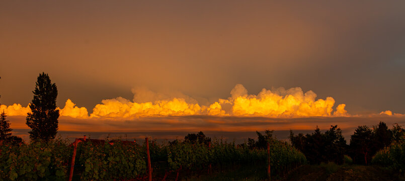 Arriv&eacute;e de l'orage au coucher du soleil dans la campagne pendant une randonn&eacute;e dans les vignes
