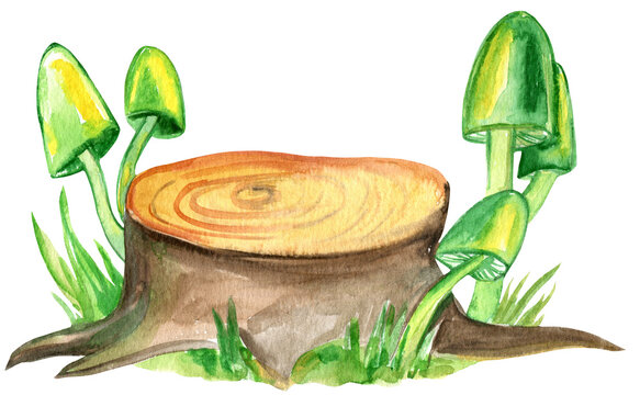 Stump and wild green mushrooms watercolor illustration, 300 dpi PNG, isolated object, clipart, St. Patrick's Day graphic element 