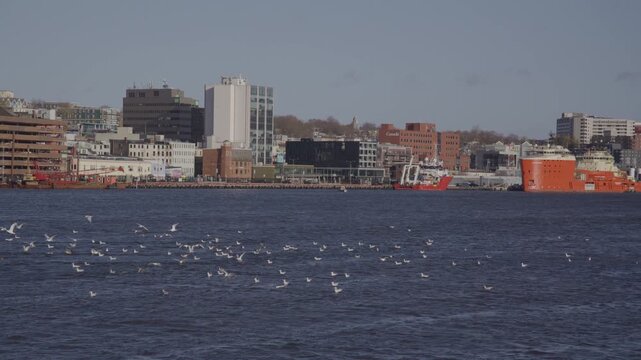 St Johns city shore line over the sea in Canadian maritime