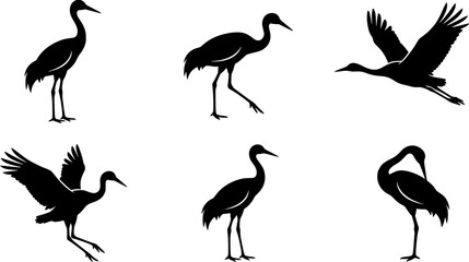 Crane bird svg, Crane bird silhouette, Japanese crane svg, Sandhill crane svg, Crane silhouette, Crane svg set
