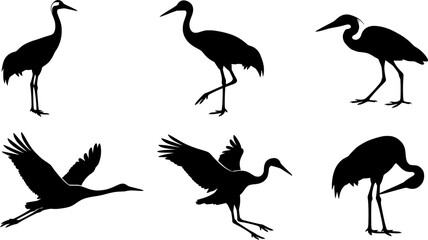 Fototapeta premium Crane bird svg, Crane bird silhouette, Japanese crane svg, Sandhill crane svg, Crane silhouette, Crane svg set 