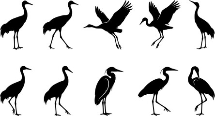 Fototapeta premium Crane bird svg, Crane bird silhouette, Japanese crane svg, Sandhill crane svg, Crane silhouette, Crane svg set 