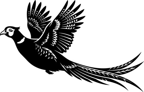 Pheasant silhouette, Flying pheasant silhouette, Pheasant SVG, Pheasant silhouette clip art, Bird silhouettes, Bird SVG, Bird clip art
