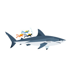 Fototapeta premium Scuba Divers Swimming Behind a Large Shark