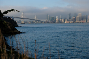 Looking towards the sky scrapers and towers of San Francisco and the Oakland Bridge of San Francisco.