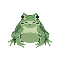 Fototapeta premium Cartoon green frog with big eyes and spots