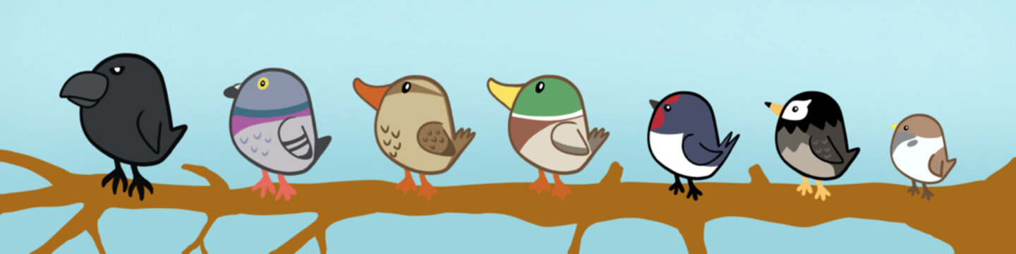 Japan City Bird Set Vector Illustration &ndash; Urban Birds of Japan Collection Isolated on White Background