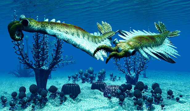 Cambrian Largest Animal Anomalocaris - Anomalocaris was an arthropod predatory animal that lived in the seas of the Cambrian Age of British Columbia.