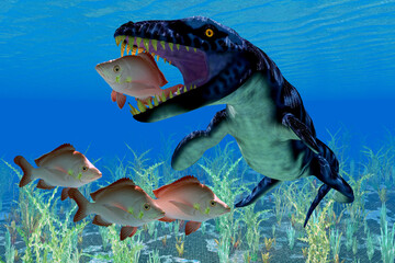 Dakosaurus eats Humpback Red Snapper - Dakosaurus was a marine carnivorous reptile that lived in the seas of Europe, Mexico and Argentina during the Jurassic and Cretaceous Periods. © Catmando