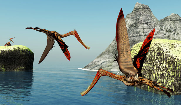 Pterodaustro Pterosaurs Seacoast - Pterodaustro Pterosaurs hunt for fish along the seacoast of South America during the Cretaceous Period.