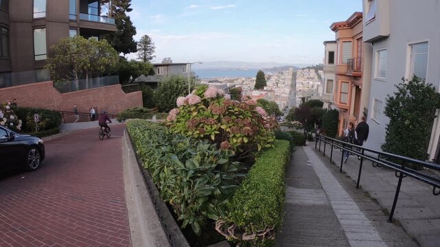 Traffic at Lombard Street in San Francisco United State