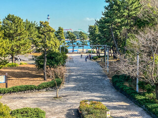 【神奈川県】横浜市・海の公園