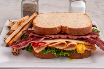 chicken sandwich with  home made french fries