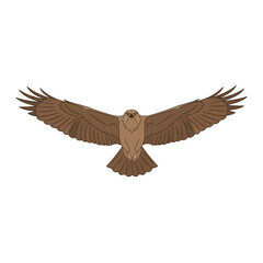 Minimalist Flying Brown Raptor Icon Illustration. Isolated Eagle or Hawk with Outstretched Wings Soaring Gracefully, Symbolizing Freedom and Wilderness
