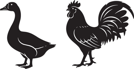 Contrasting silhouettes of a goose and a proud rooster, representing farm life and nature. © Moniruzzaman
