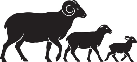 Three black silhouettes of sheep: ram with large horns, ewe, and lamb, walking in progression on a white background. © Moniruzzaman