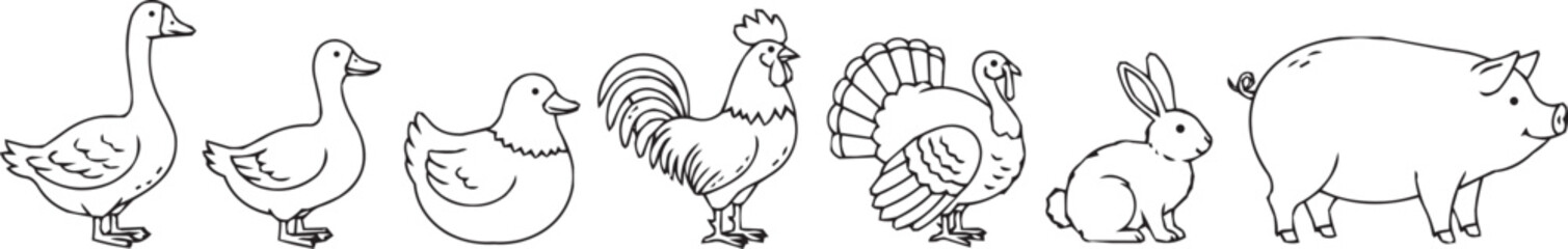 Line art illustration of farm animals: goose, duck, rooster, turkey, rabbit, pig, on white background. © Moniruzzaman