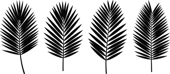 Black vector silhouettes of palm leaves, tropical fern fronds set for summer jungle design, exotic foliage isolated on white background. © VactorZone