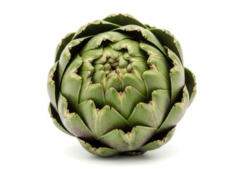 Fototapeta premium One fresh green vegetable featuring tightly packed layered leaves is centered against a white background.