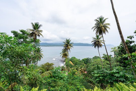 A view through tropical palm trees and lush foliage looking across the ocean toward S&atilde;o Tom&eacute; Island from the equator island of Ilh&eacute;u das Rolas, S&atilde;o Tom&eacute; and Pr&iacute;ncipe