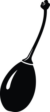 Silhouette caper bud spice food ingredient doodle drawing vector illustration